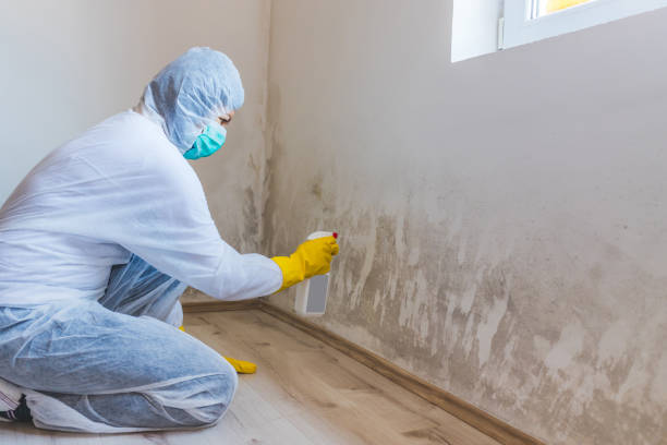 Mold inspector in Honor performing thermal imaging